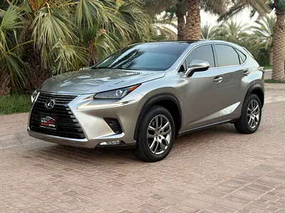 Lexus NX 300 2020 GCC Specs - Immaculate Condition