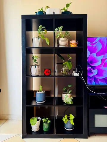 Ikea book shelves/storage cupboards