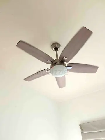 2 beautiful hunter fans with lights