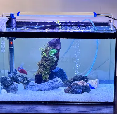 Used 20L Glass Aquarium Tank with LED Light, Heater and Accessories