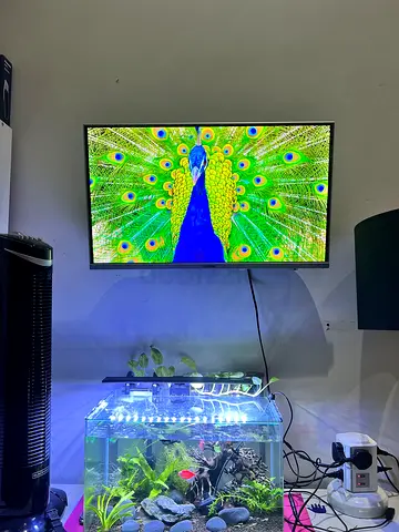 32-inch LED TV mounted on wall - Good working condition