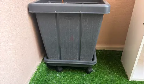 Big Plant pot