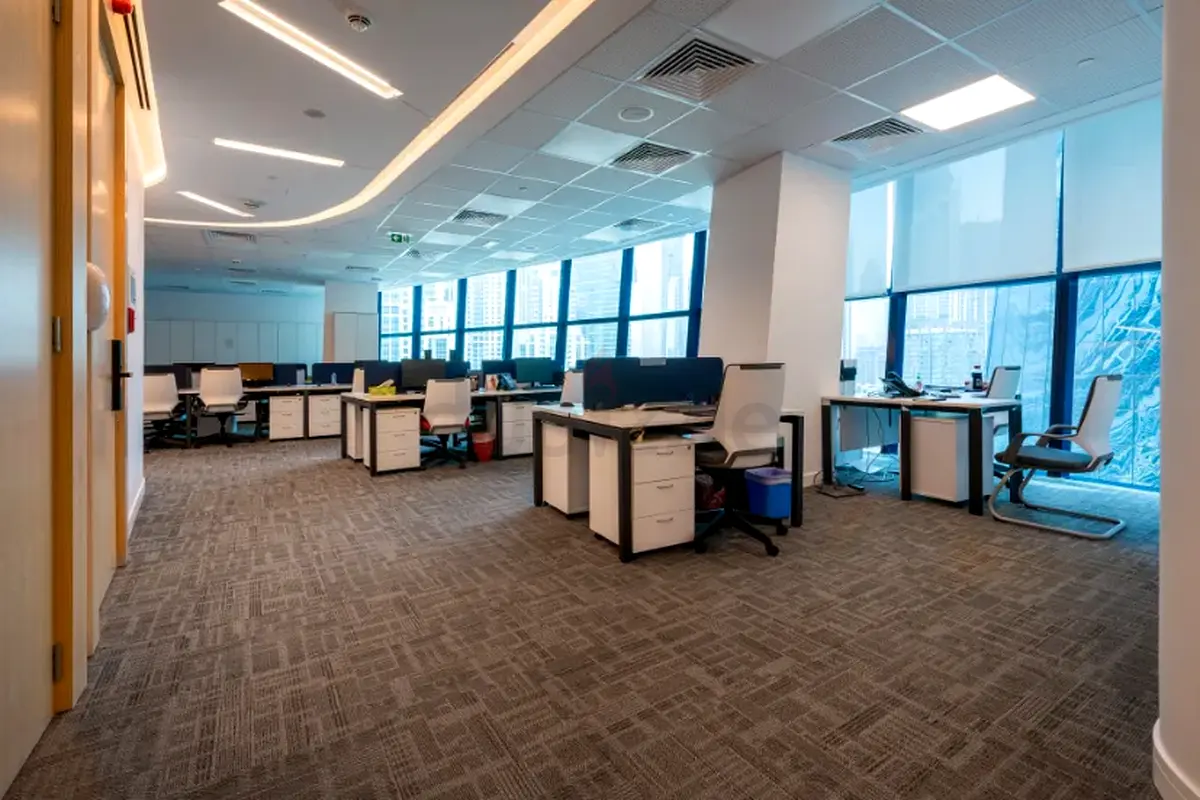 DPV_View_Image_0