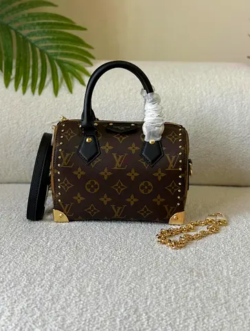Louis Vuitton speedy trunk handbag 👜