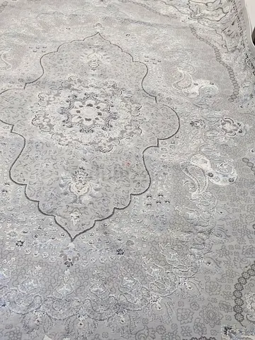 Light grey Persian-style medallion rug — 8x10 (approx)