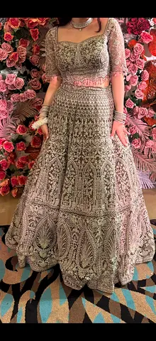 Embroidered Silver Lehenga with Sheer Sleeve Blouse - Size Approx M