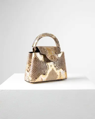 Authentic Louis Vuitton Capucine Bag