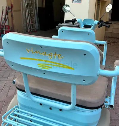 3 Wheeler Buggy