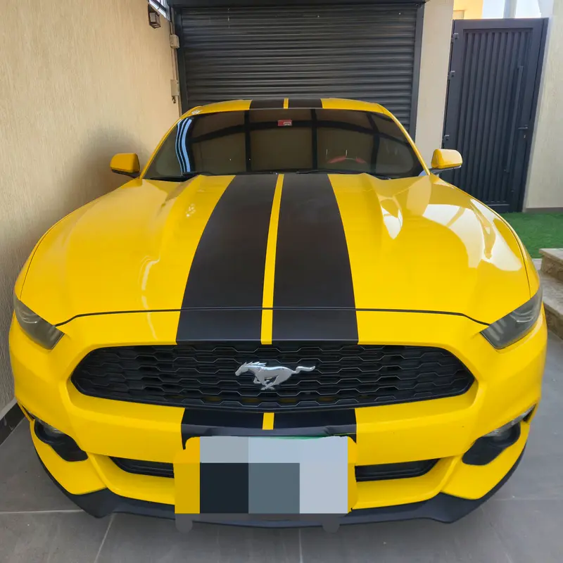 Ford Mustang 2016 — photo 1 of 11