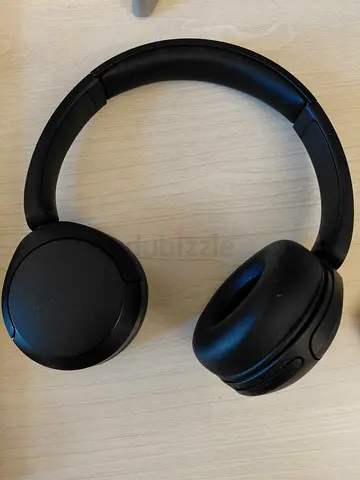 Sony WH-CH520 Headphones