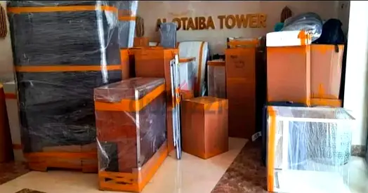 PROFESSIONAL MOVERS  PACKERS