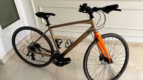 Pardus Road Bike with Orange Front Fork