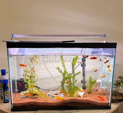60L Glass Aquarium Kit with Plants, Heater and Fish