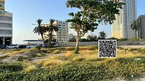 Land for Sale in Al Liwara 1, Ajman