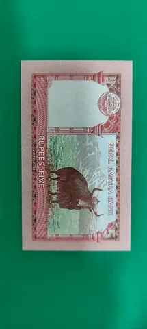 Old Nepal 5 Rupees Banknote (Collectible)