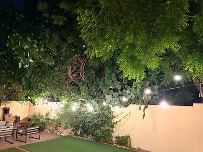 Outdoor string lights - decorative garden bulbs (working) - 30m long with 26 extra bulbs