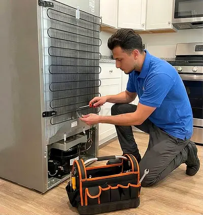 Fridge Repair in 60 Minutes*