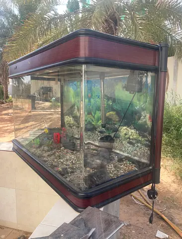 Aquarium needs a little modification (The price is adjustable)