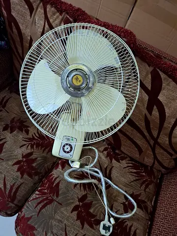 Pak Fan Wall