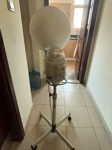 Standing Hair Steamer for Sale