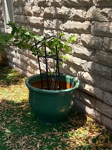 Large Green Ceramic Garden Planter with Trellis