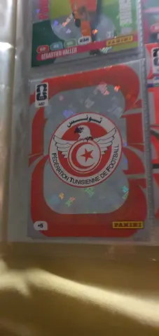 Panini FIFA World Cup Sticker - Tunisia National Team Sticker (Sealed Sleeve)