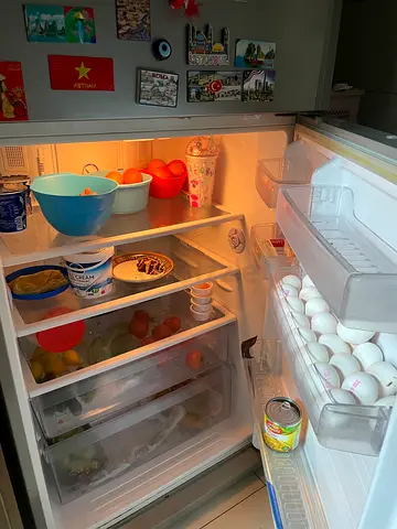 Fridge Samsung