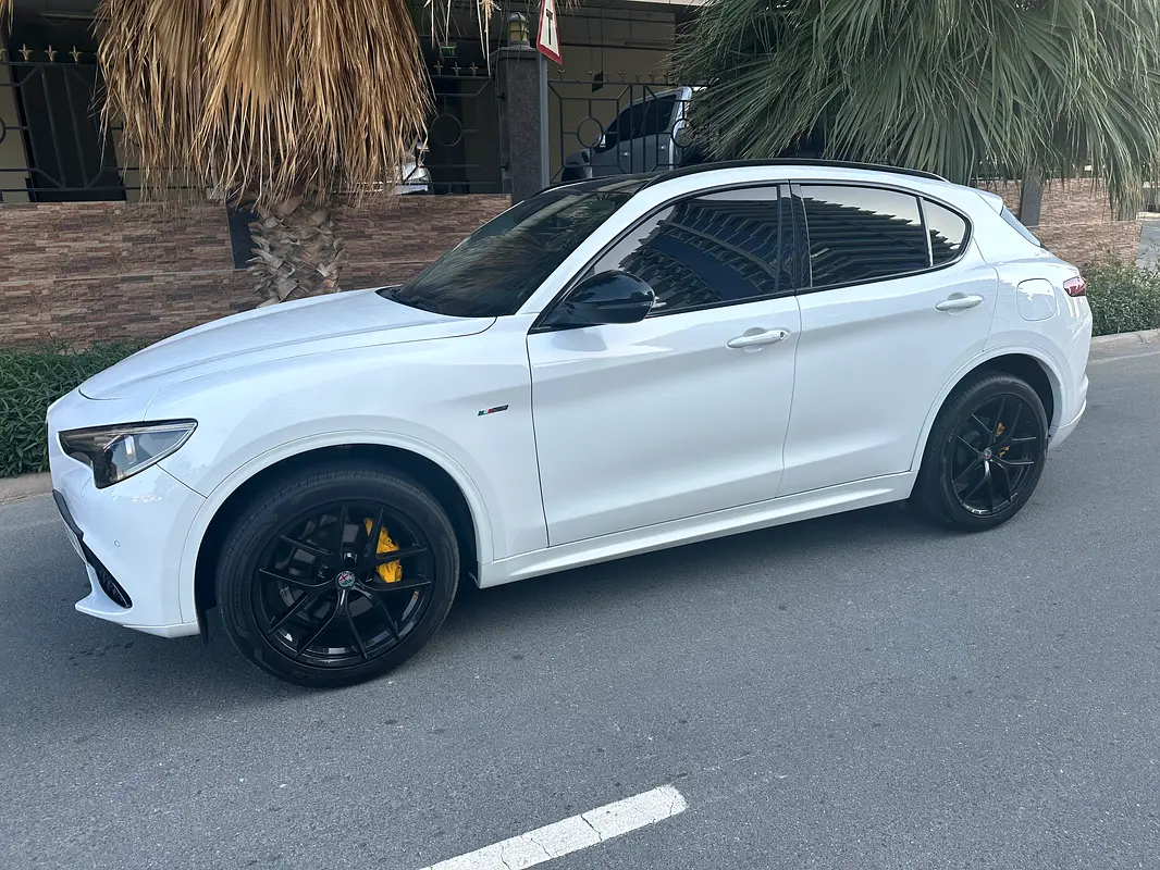 Alfa Romeo Stelvio 2020 — photo 1 of 10
