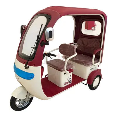 F7D Tri-Wheel Three Seater E-Bike with Roof | Max Speed 40 km/h | Reverse Mode | Anti-Theft Feature