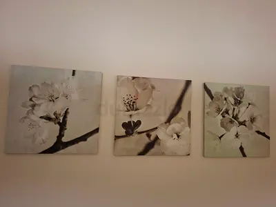 Painted wall frames