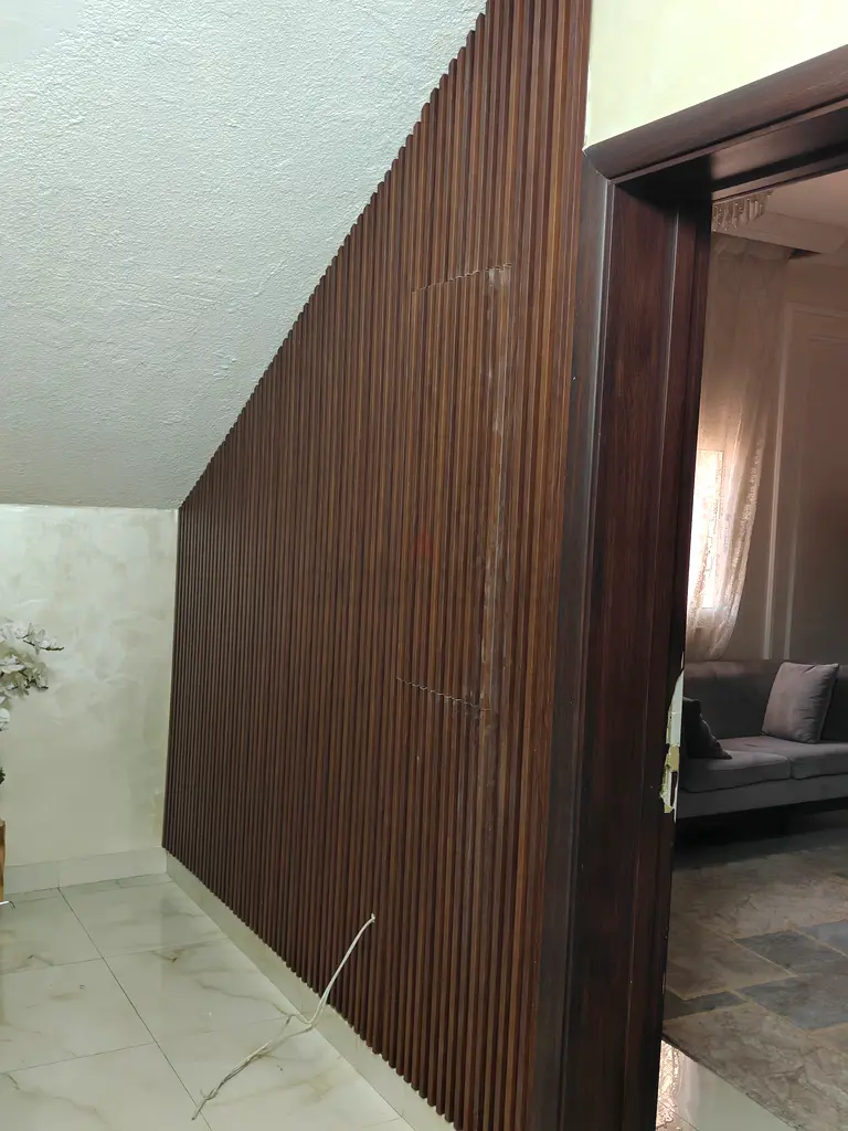 DPV_View_Image_2