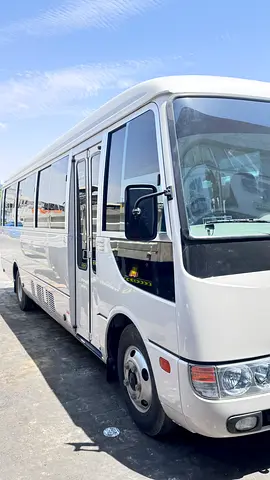Bus rosa Mitsubishi 2024