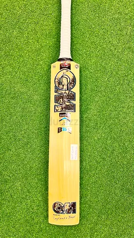 Unwanted gift GM player Edition bat