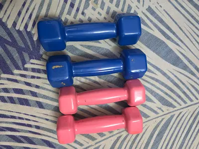 Pink and Blue Dumbbell Set