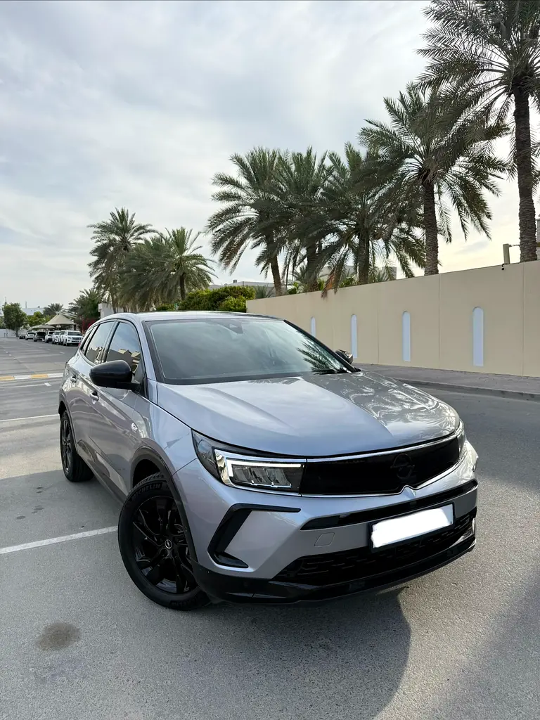 Opel Grandland X 2024 — photo 1 of 4