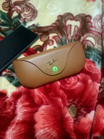 Ray-Ban Leather smart Case (Brown)