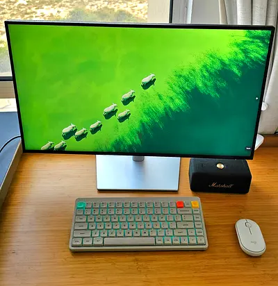 Dell 27 IPS Monitor with Slim Bezels and Adjustable Stand - Good Condition