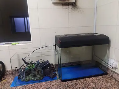 Fishtank for sale
