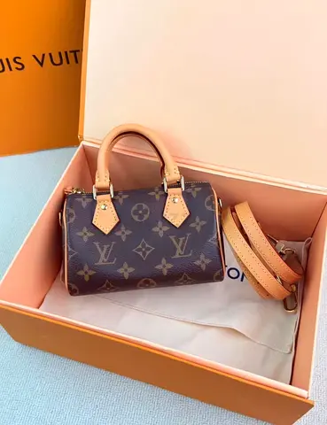 Louis Vuitton speedy nano