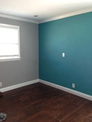 painting Work 
apartment painting 
office glass partition 
office demolition