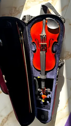 Violin