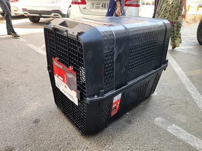 Dogs carriers for air travel Iata approved