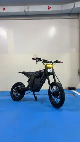 Custom Kugoo Wish 01 SE