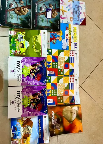 Collection of School Textbooks and Workbooks – Primary/Secondary Level (Multiple Titles) great two