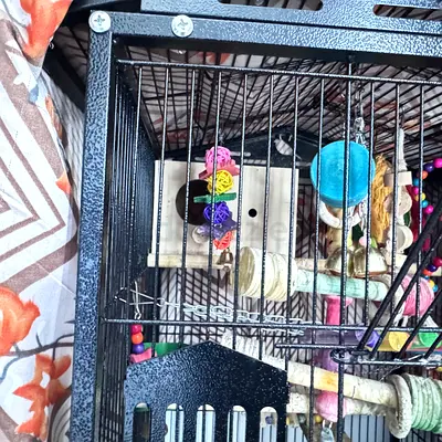 Very beautiful bird cage