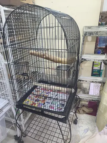 Large size bird cages