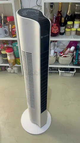 Stand fan