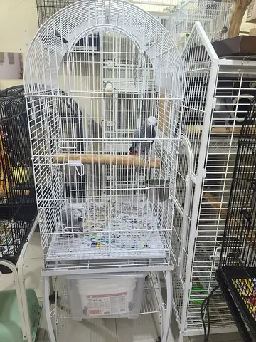 White big cage
