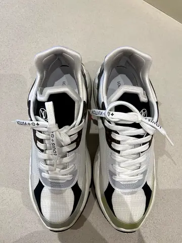 Sneakers Louis Vuitton Shoes