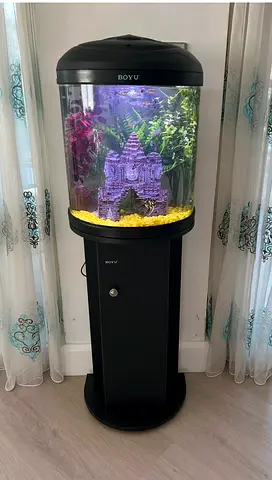 Aquarium set comes with built in filter and light